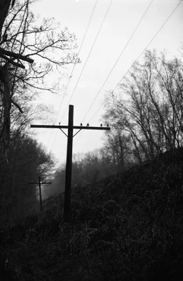 power lines through misty wooded hillside