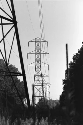 power lines and transmission towers among trees