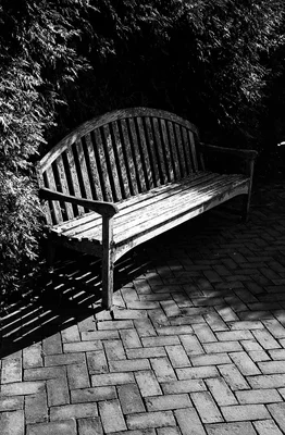 wooden bench on brick patio near hedges