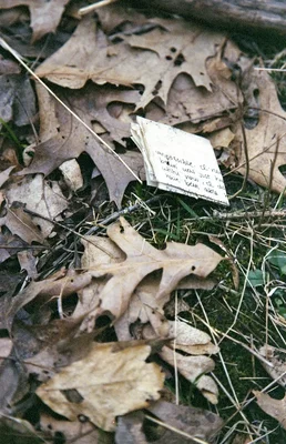 folded note among fallen autumn leaves