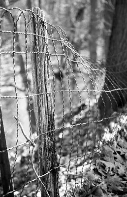 weathered fence post with wire mesh fencing