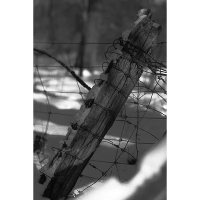 weathered fence post with wire fencing attached