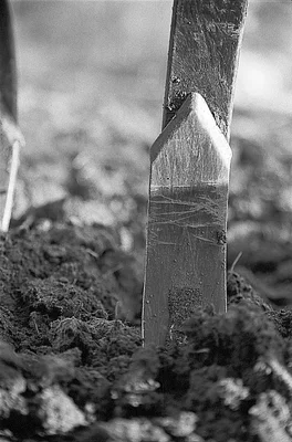 wooden garden tool stuck in soil