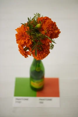orange marigolds in green bottle on color swatches