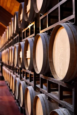 wine barrels stacked on metal storage racks