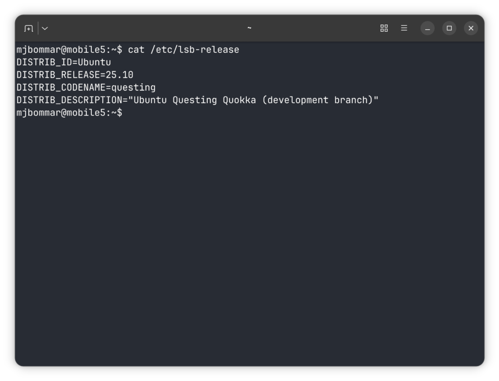 Ghostty terminal showing Ubuntu 25.10 Questing Quokka release information